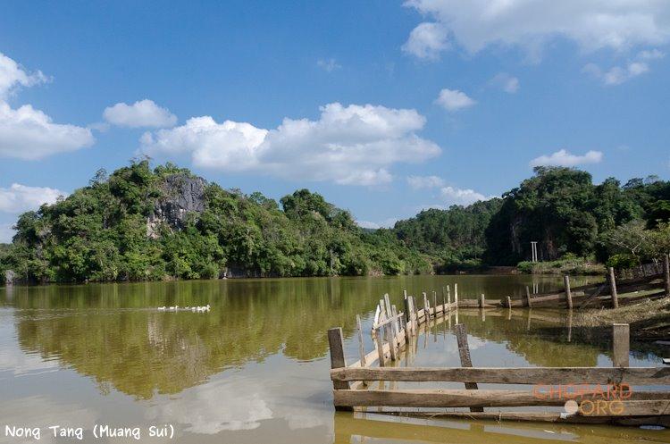 NK7_0755.jpg NK7_0755.jpg