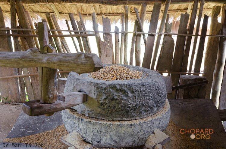 NK7_0781.jpg NK7_0781.jpg