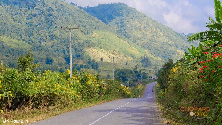 NK7_0831.jpg NK7_0831.jpg