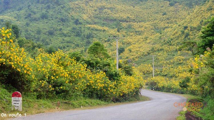 NK7_0834.jpg NK7_0834.jpg