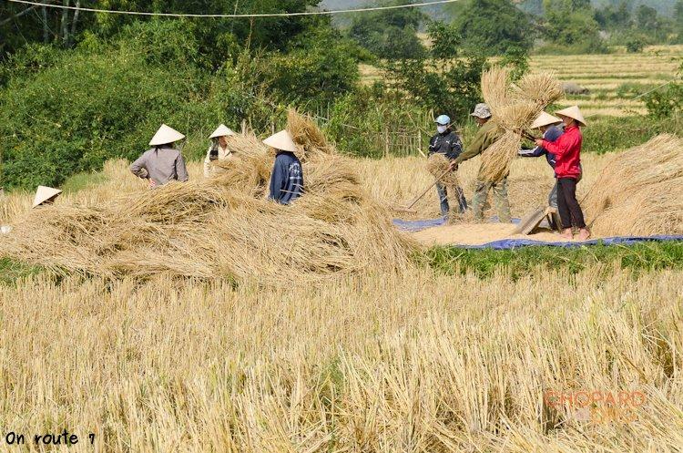 NK7_0847.jpg NK7_0847.jpg