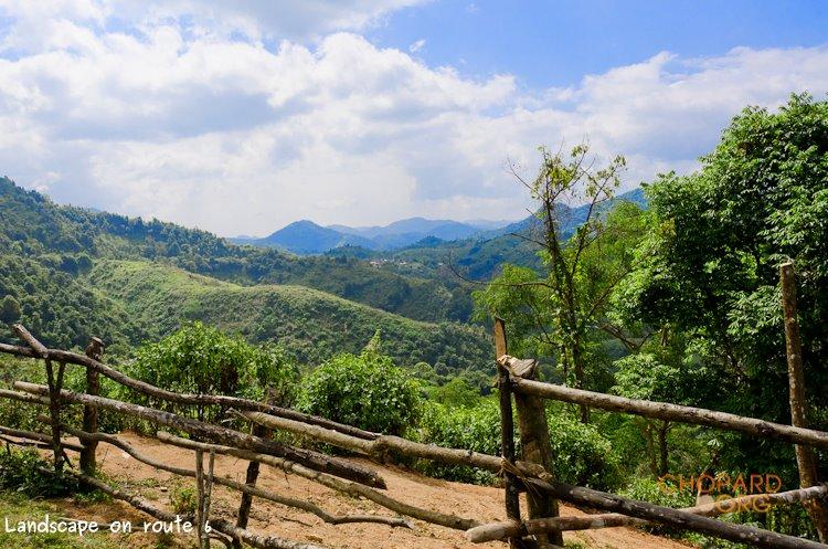 NK7_0870.jpg NK7_0870.jpg