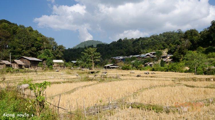 NK7_0957.jpg NK7_0957.jpg