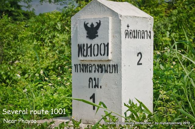 NK7_7344.jpg NK7_7344.jpg
