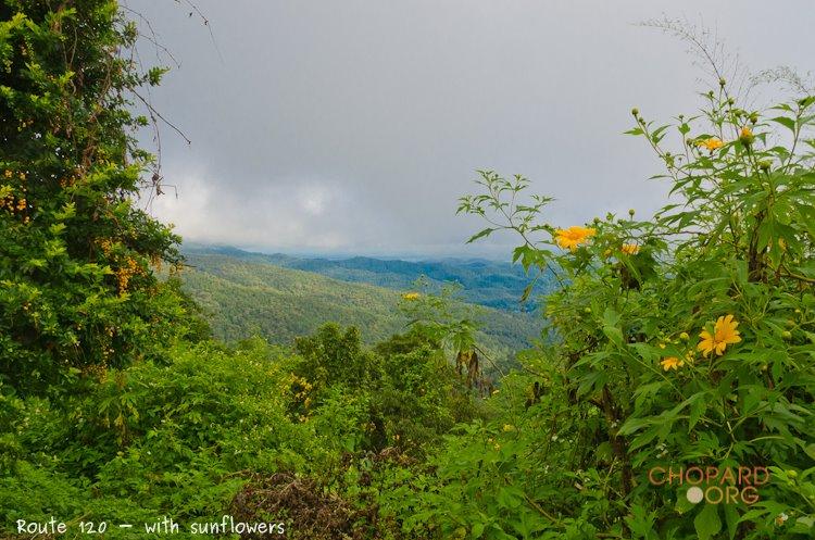 NK7_9999.jpg NK7_9999.jpg