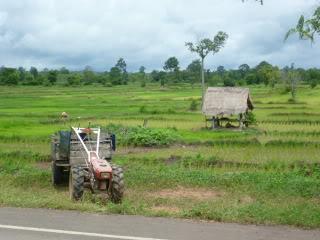 P1000450.jpg P1000450.jpg