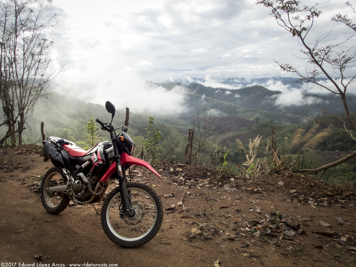 P5160125_HDR.jpg P5160125_HDR.jpg