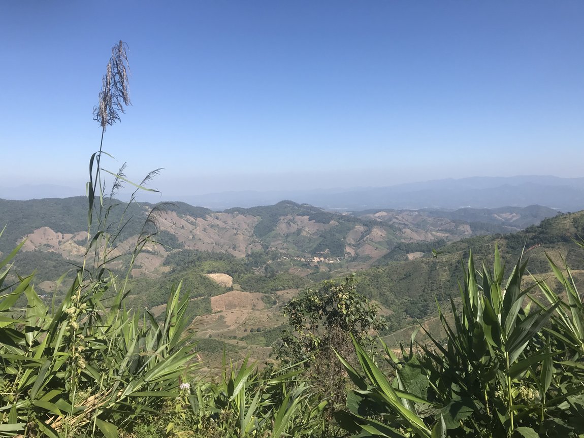 Photo 07-12-2019, 13 40 22.jpg