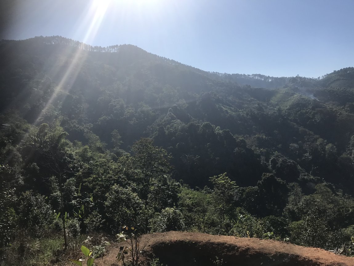 Photo 07-12-2019, 15 04 58.jpg