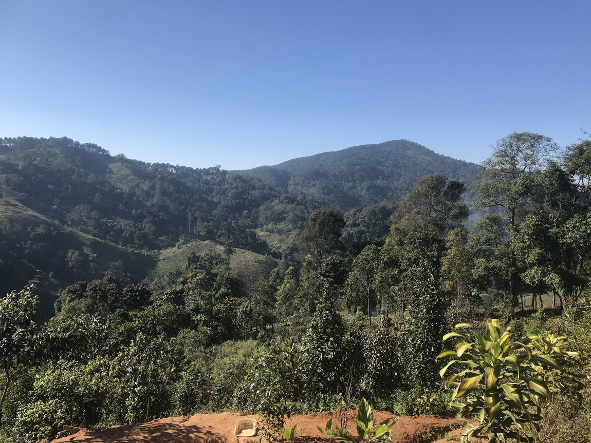 Photo 07-12-2019, 15 05 04.jpg