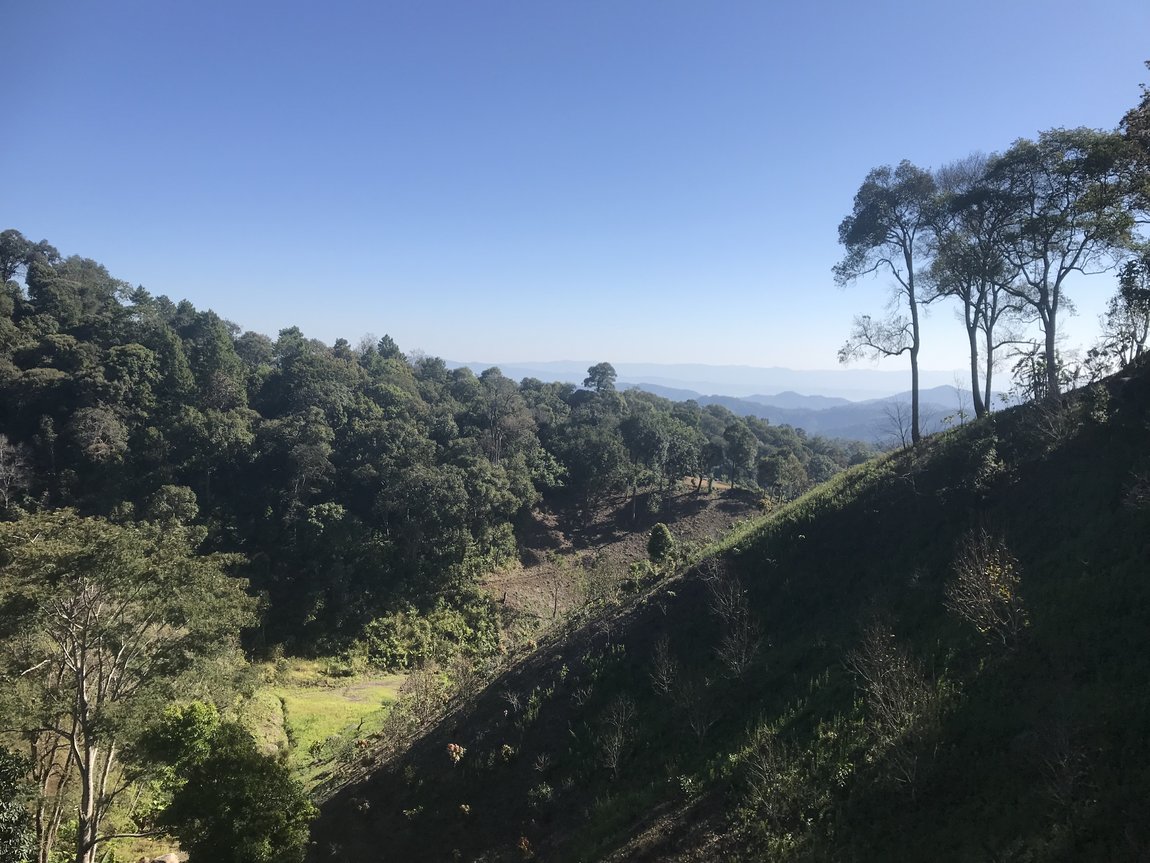 Photo 08-12-2019, 09 41 30.jpg