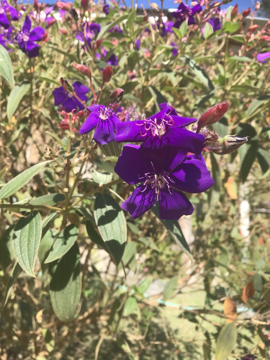 Photo 08-12-2019, 10 56 27.jpg