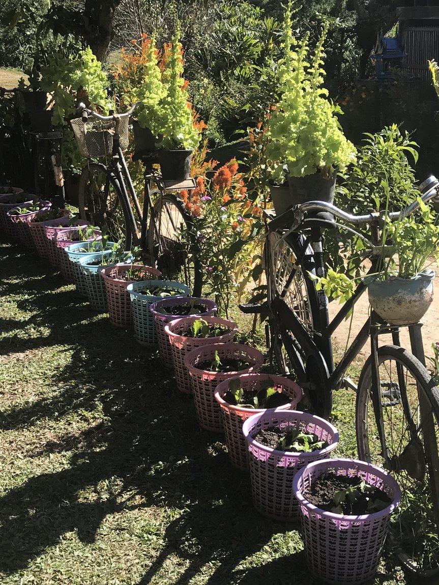 Photo 08-12-2019, 10 59 27.jpg