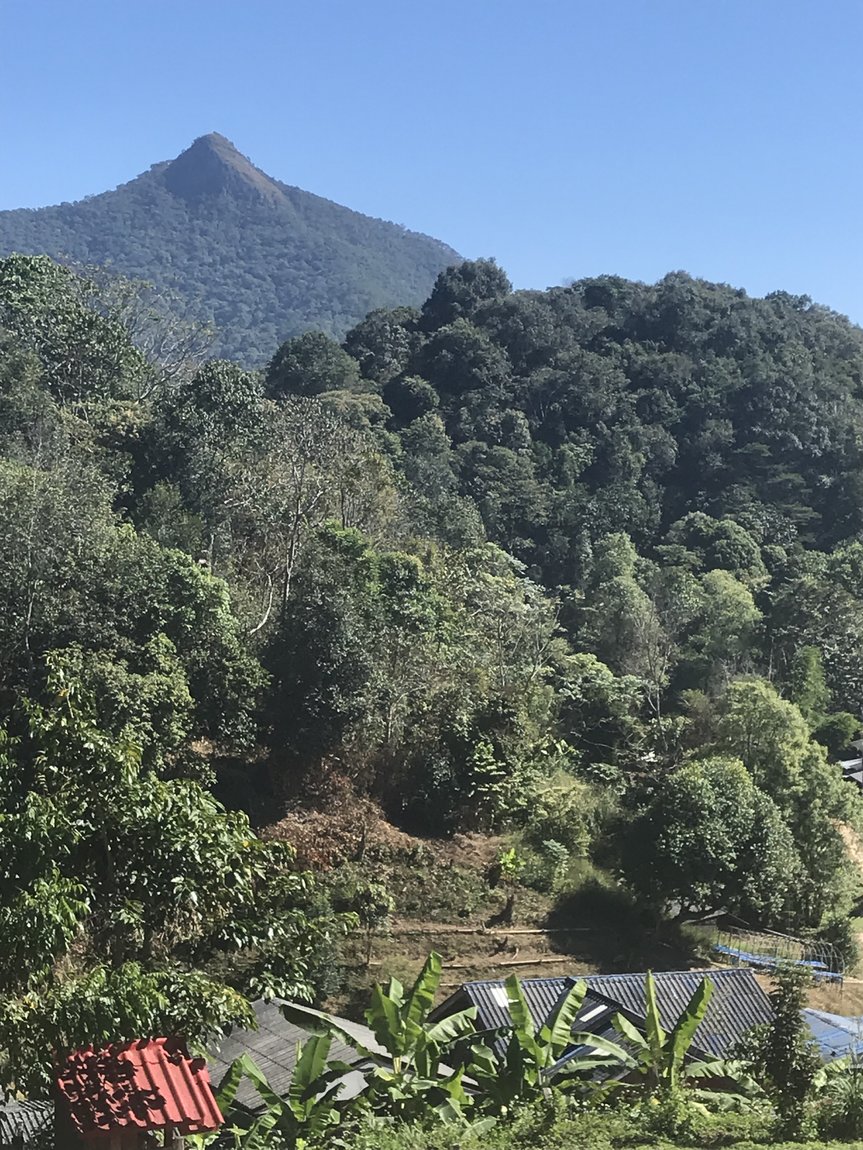 Photo 08-12-2019, 11 48 31.jpg