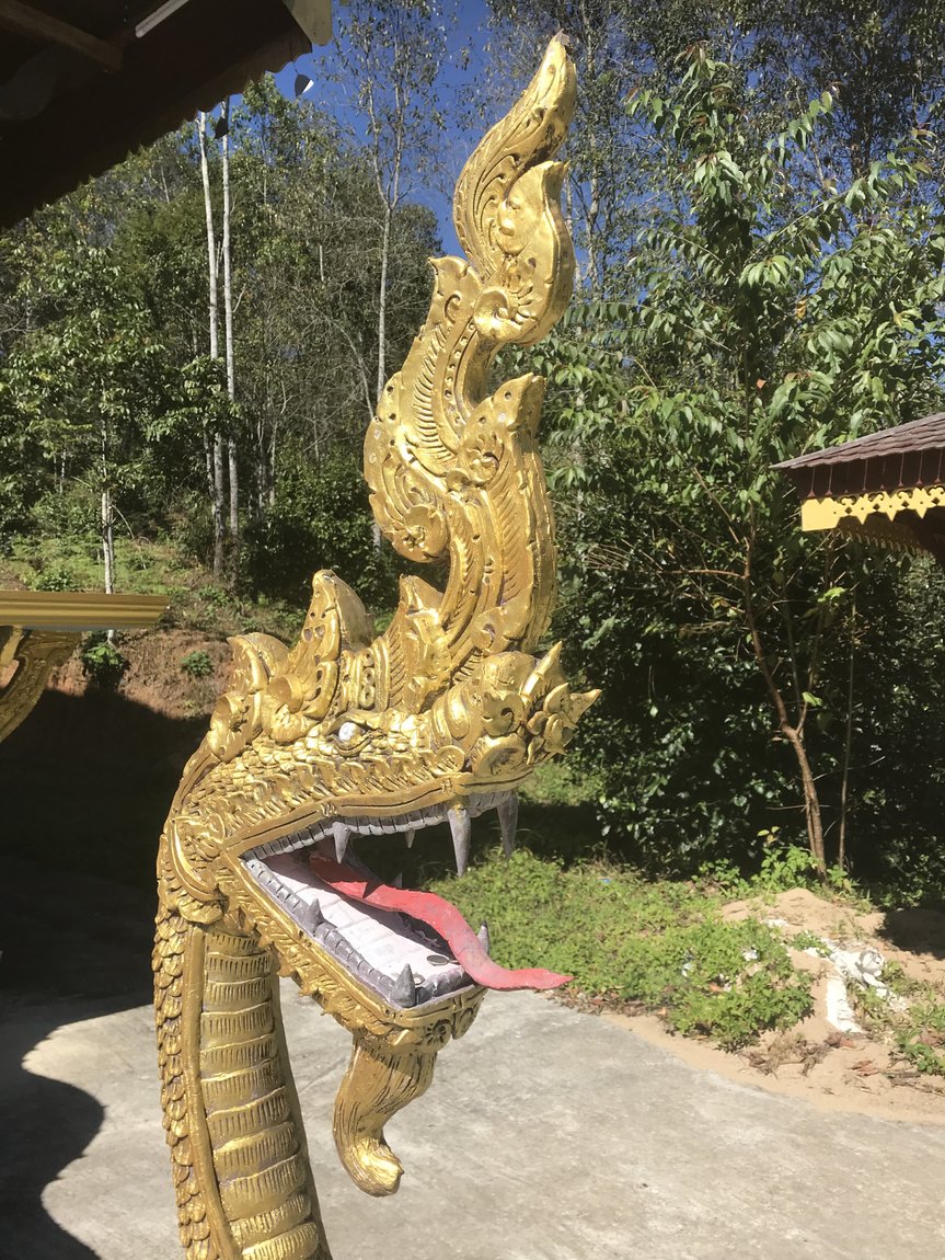 Photo 08-12-2019, 11 48 58.jpg