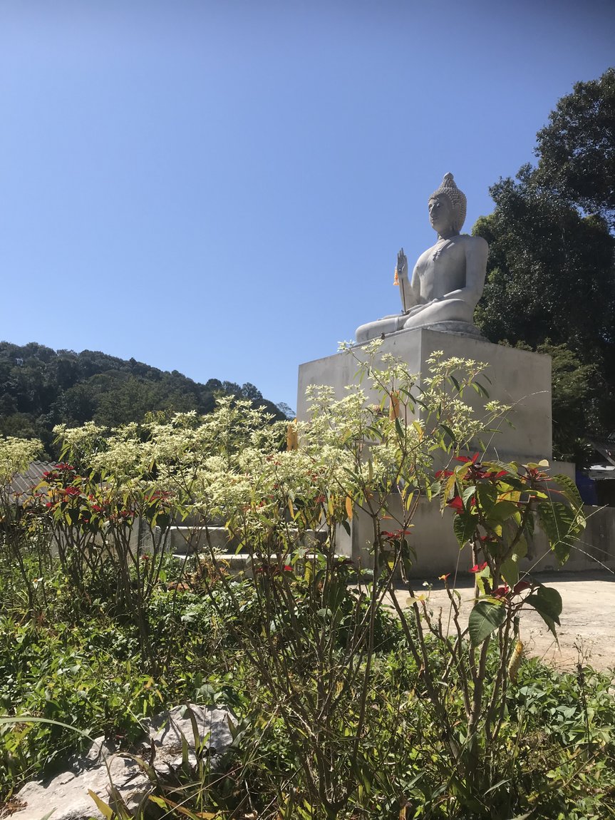 Photo 08-12-2019, 11 50 52.jpg