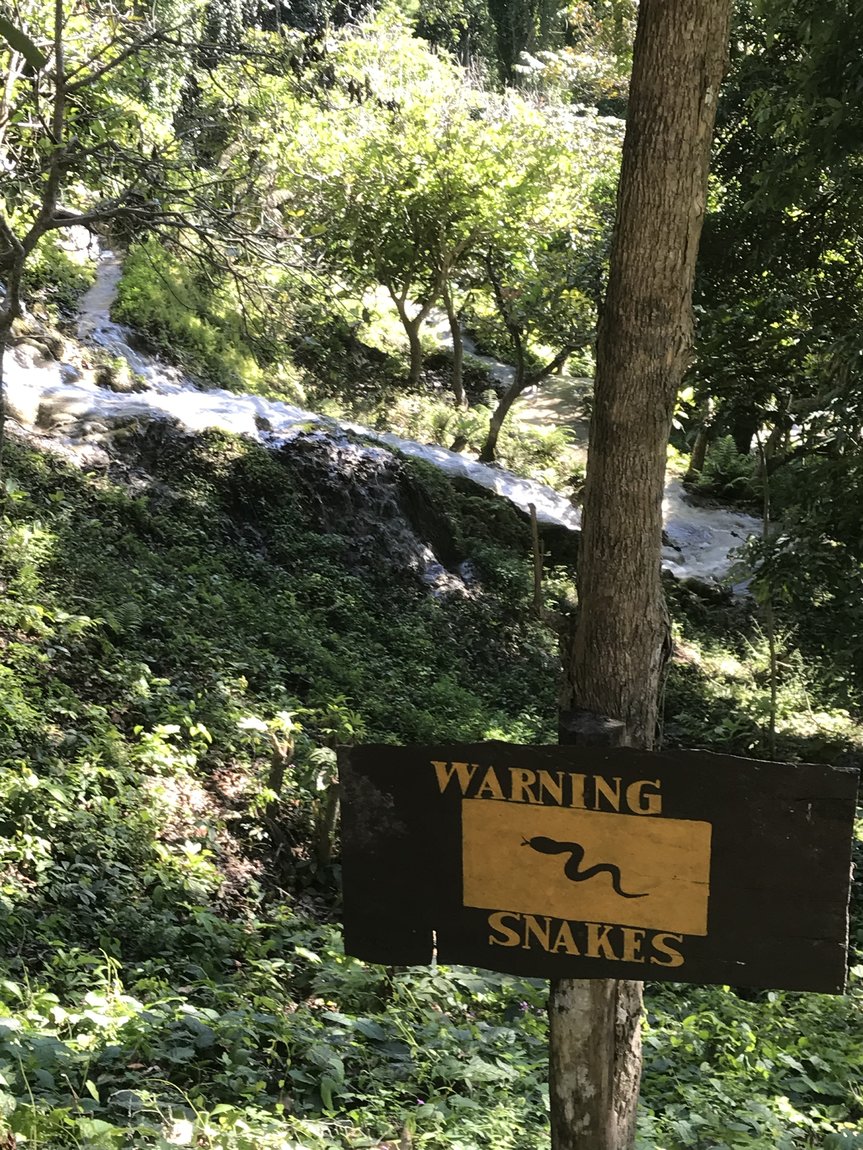 Photo 08-12-2019, 14 31 42.jpg