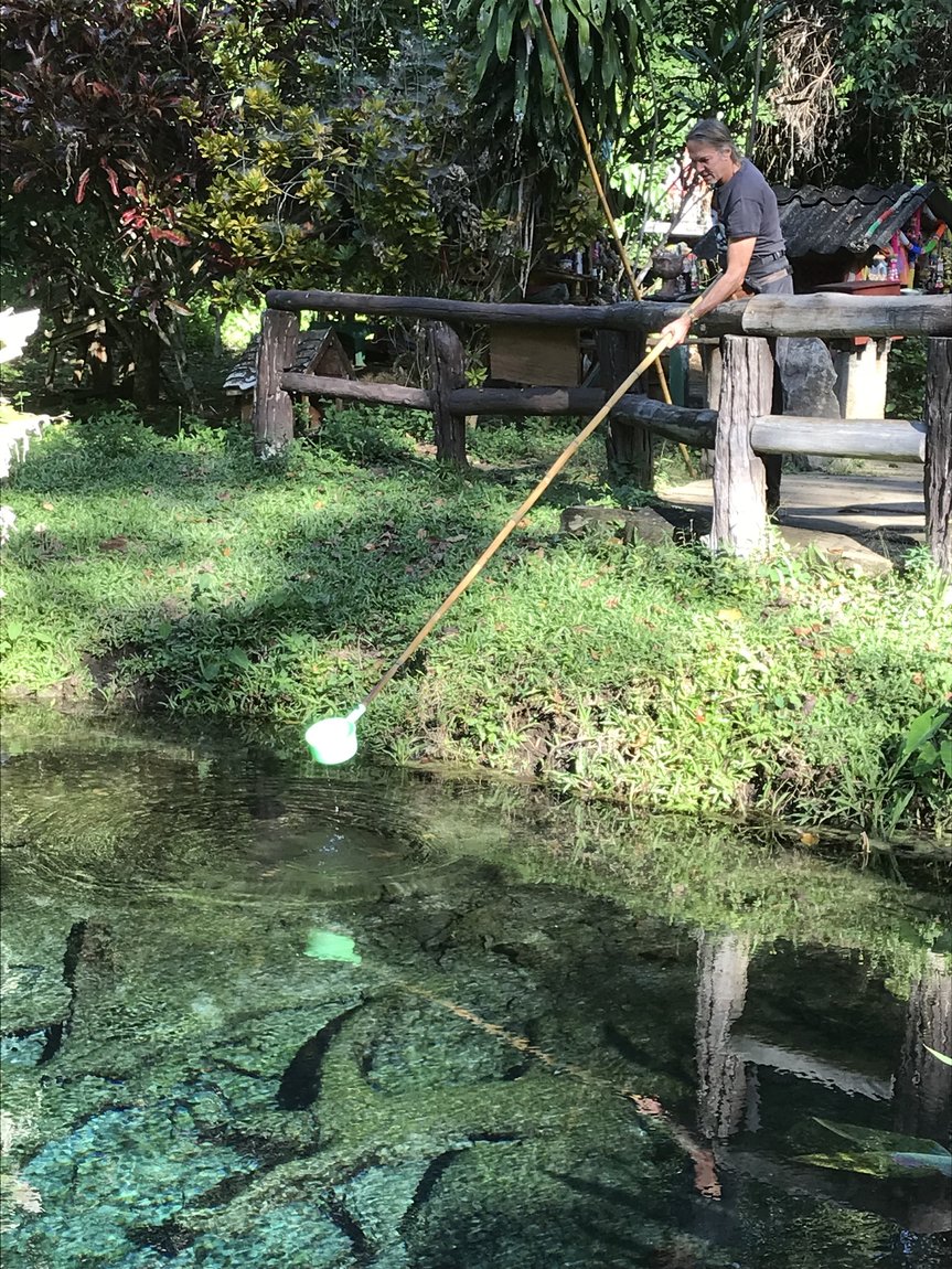 Photo 08-12-2019, 15 14 33.jpg