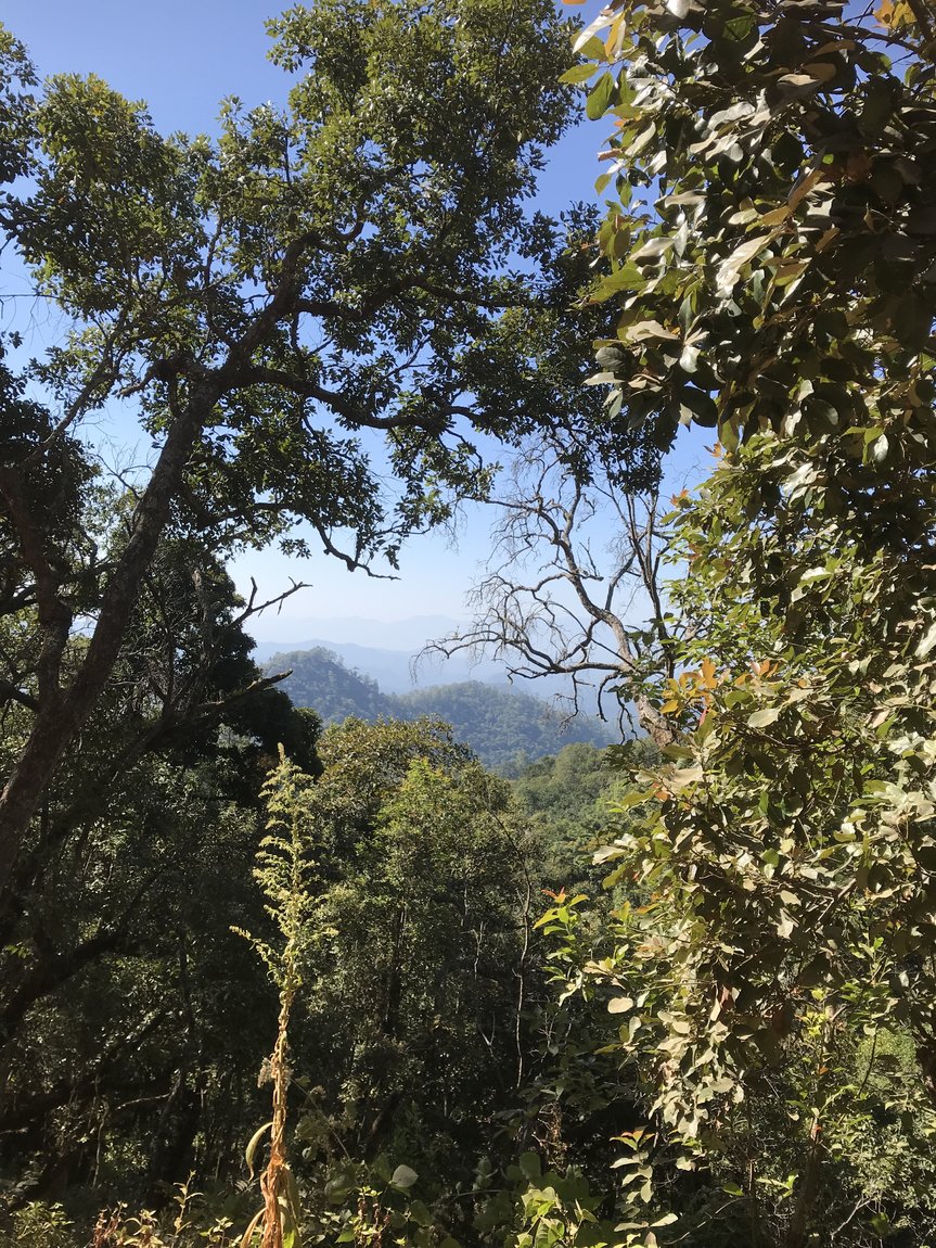 Photo 10-12-2019, 10 45 54.jpg