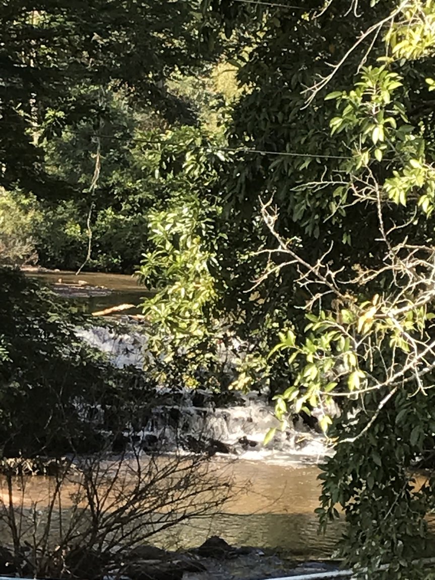 Photo 10-12-2019, 11 26 10.jpg