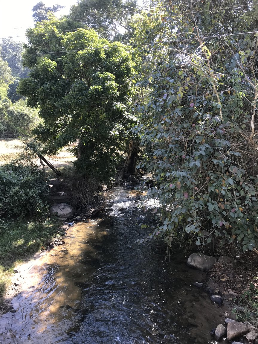 Photo 10-12-2019, 11 26 23.jpg