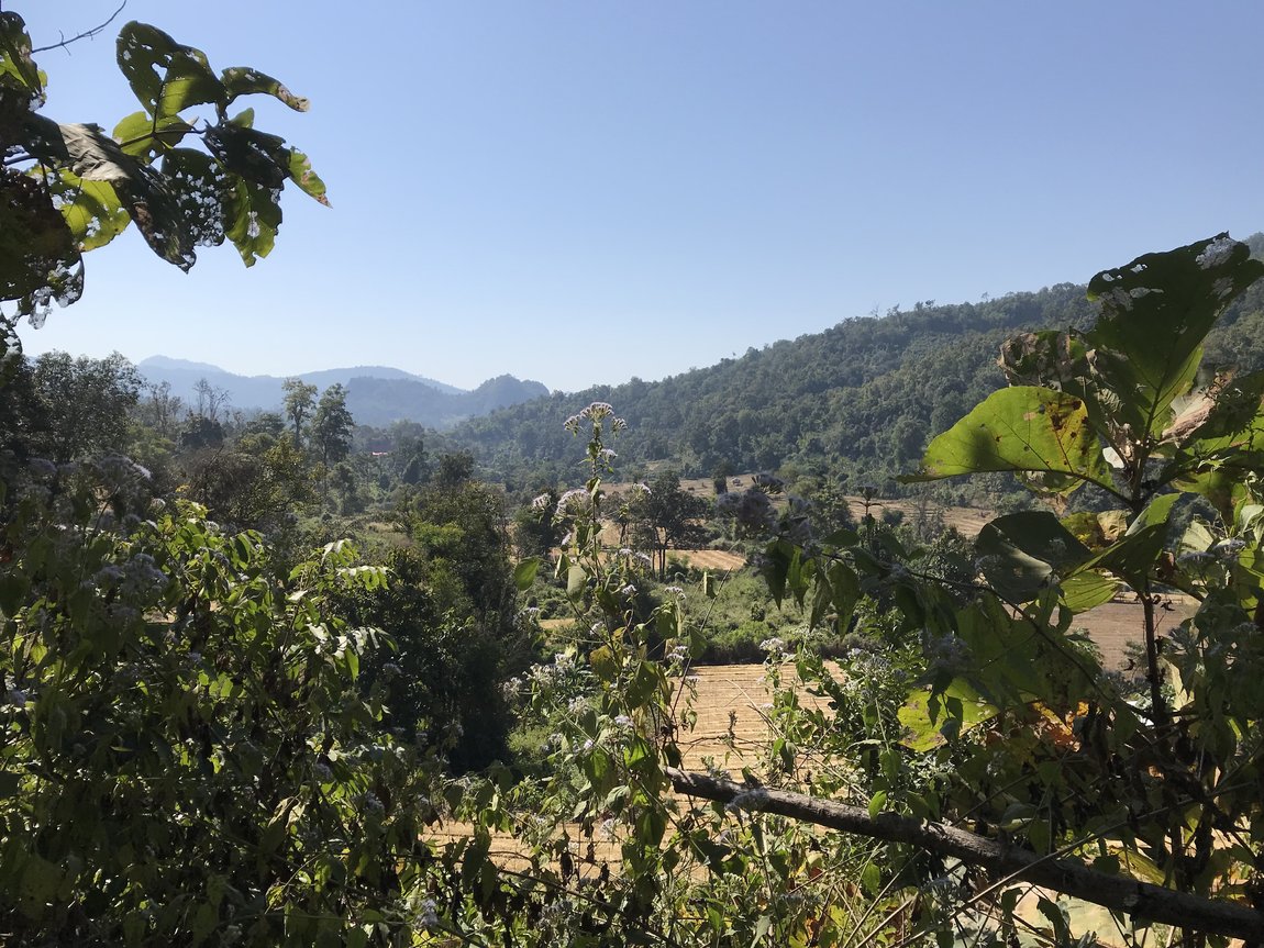 Photo 10-12-2019, 11 33 42.jpg