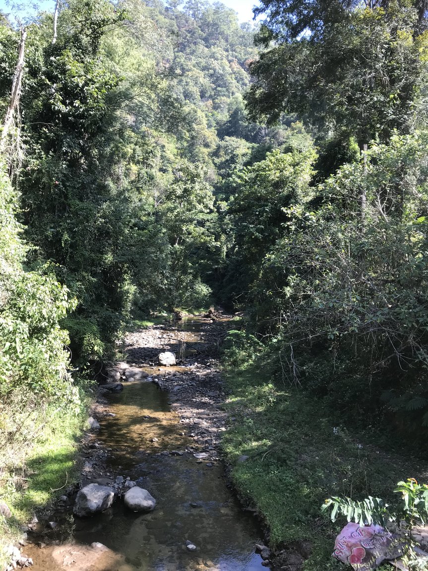 Photo 10-12-2019, 11 36 29.jpg