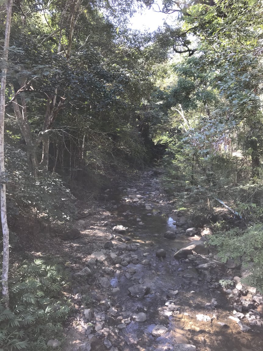 Photo 10-12-2019, 11 36 47.jpg