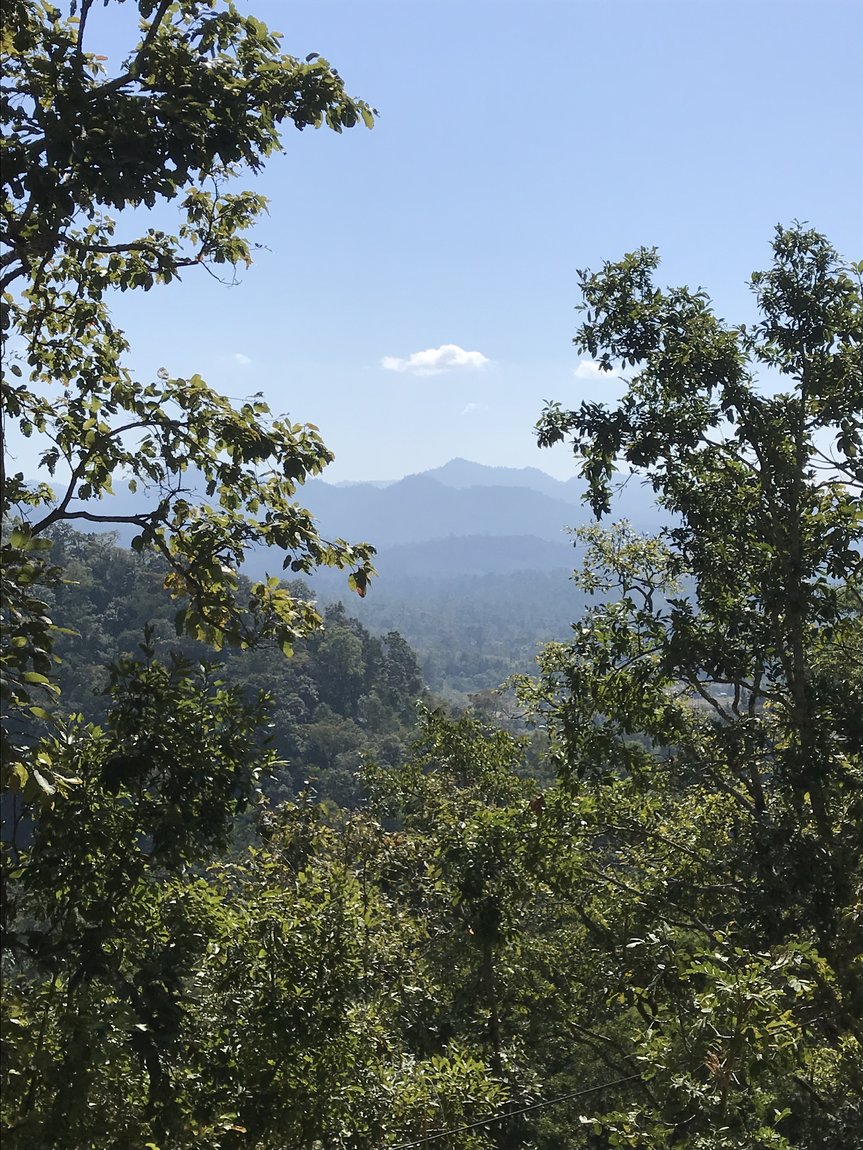 Photo 10-12-2019, 11 46 15.jpg