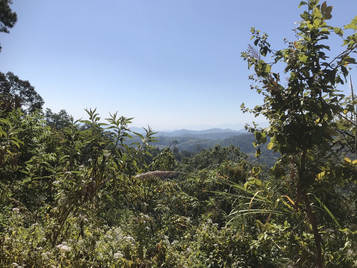 Photo 10-12-2019, 12 12 31.jpg