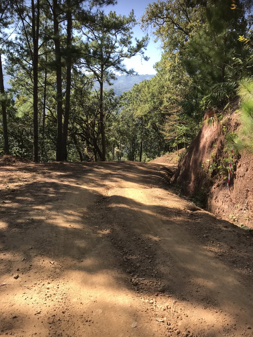 Photo 10-12-2019, 13 11 29.jpg