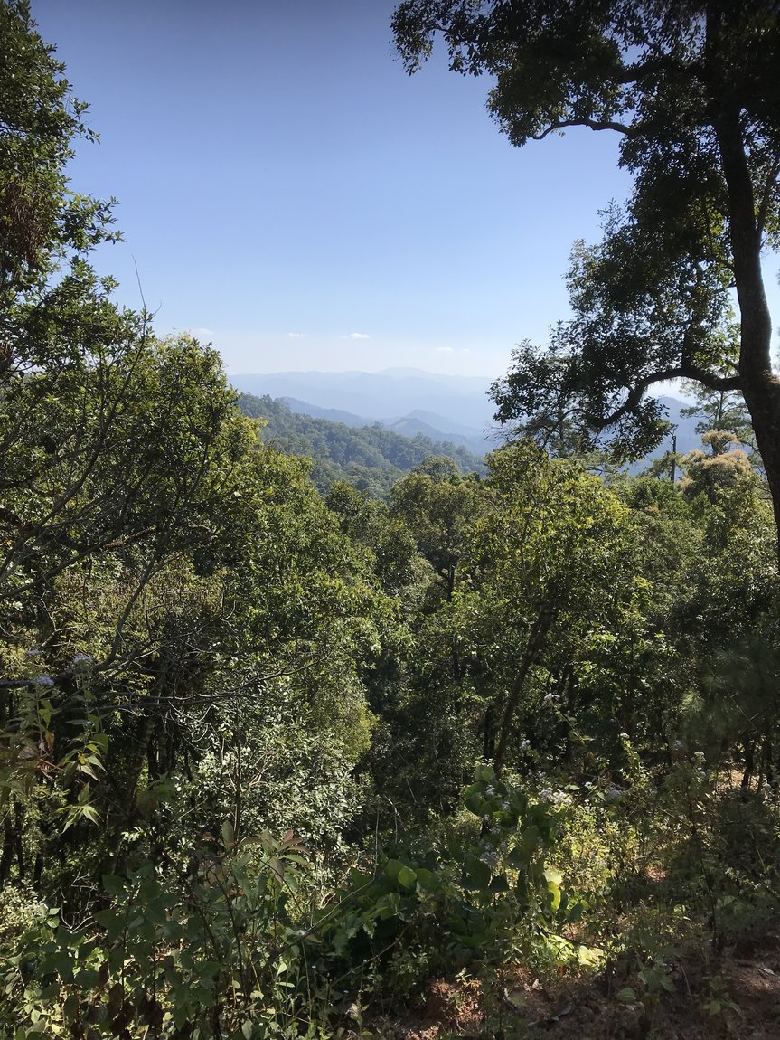 Photo 10-12-2019, 13 11 32.jpg