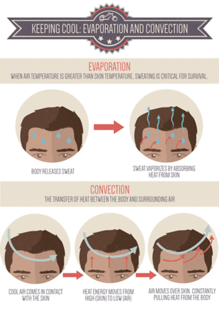 riding-in-hot-weather-01-M.png riding-in-hot-weather-01-M.png