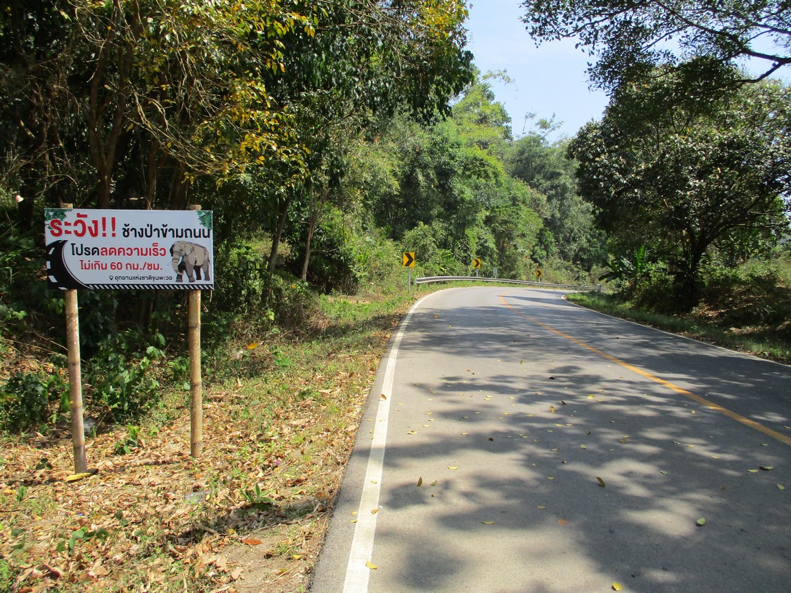 Route-1175-Mae-Ramat-Noi-to-1107 (14).JPG