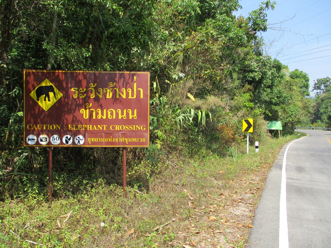 Route-1175-Mae-Ramat-Noi-to-1107 (16).JPG