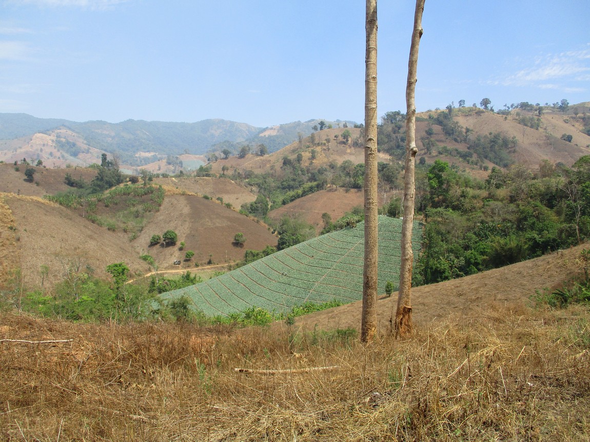 Route-1175-Mae-Ramat-Noi-to-1107 (3).JPG