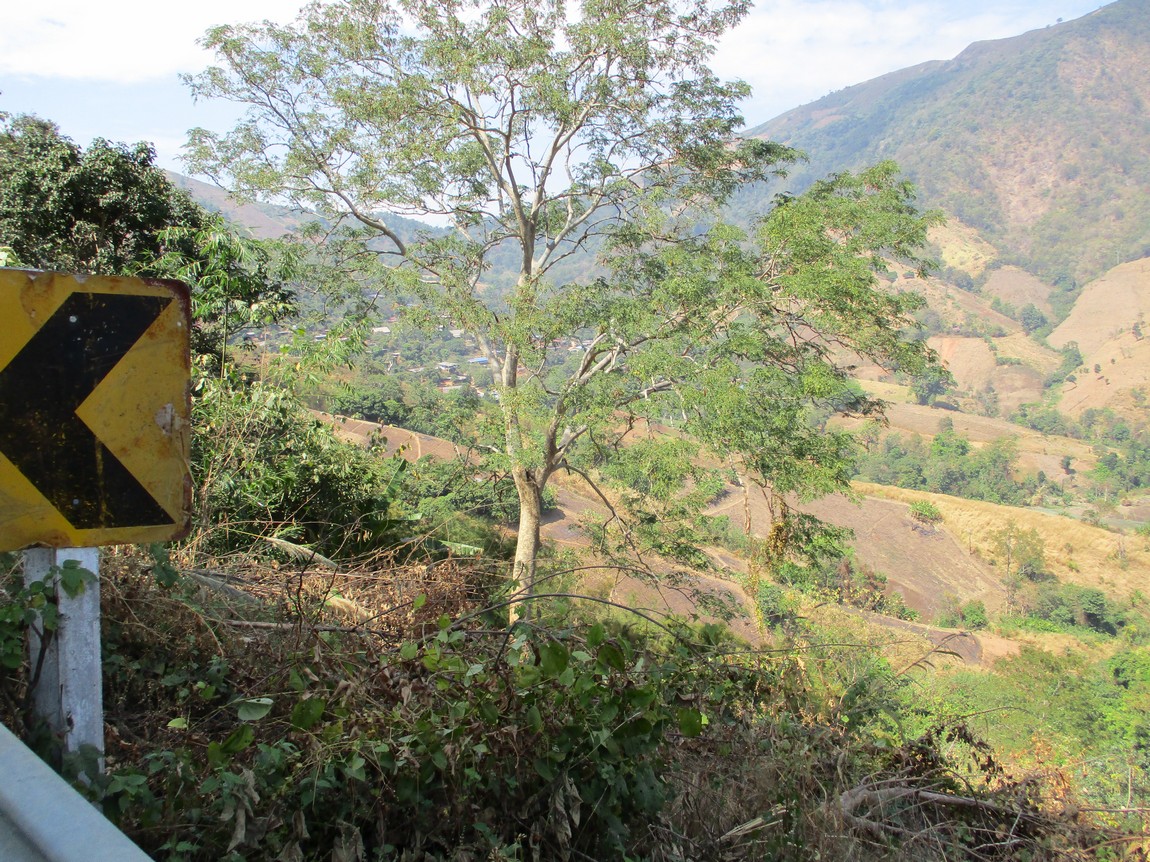 Route-1175-Mae-Ramat-Noi-to-1107 (4).JPG