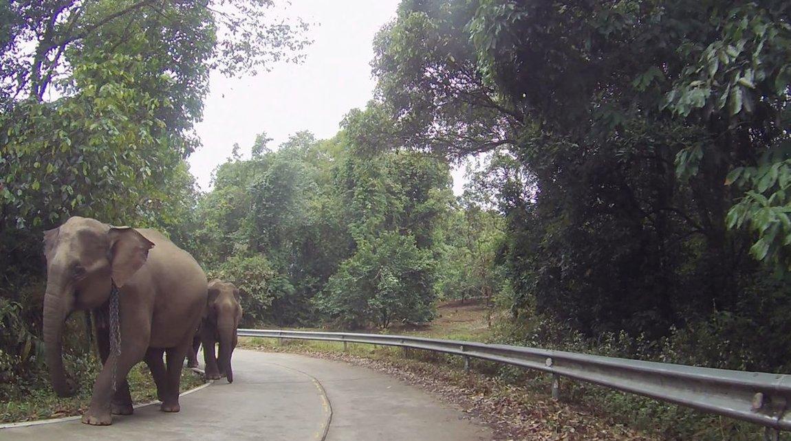 Screen Shot 2018-05-03 at 7.23.27 PM.jpg