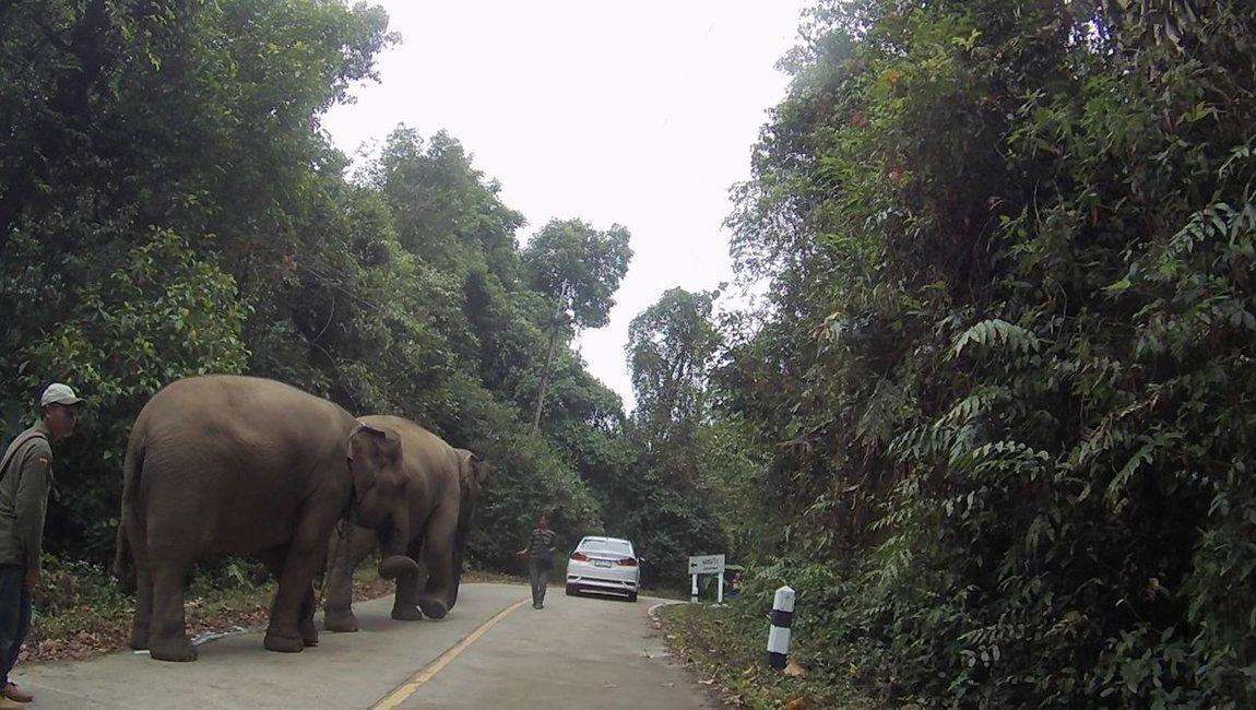 Screen Shot 2018-05-03 at 7.24.10 PM.jpg