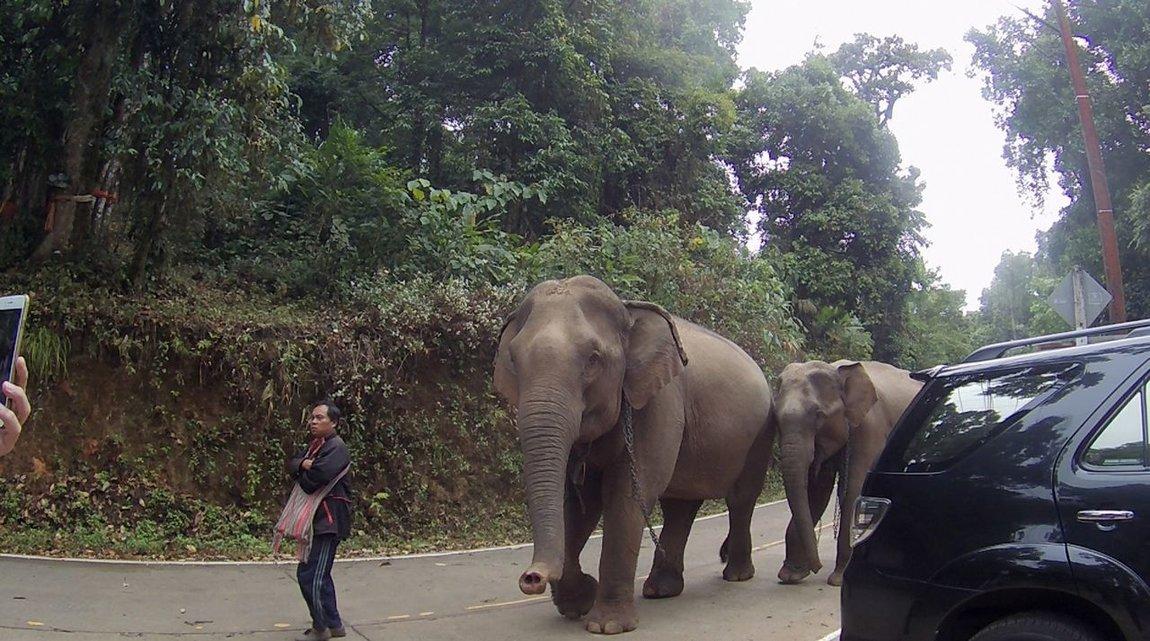 Screen Shot 2018-05-03 at 7.24.52 PM.jpg