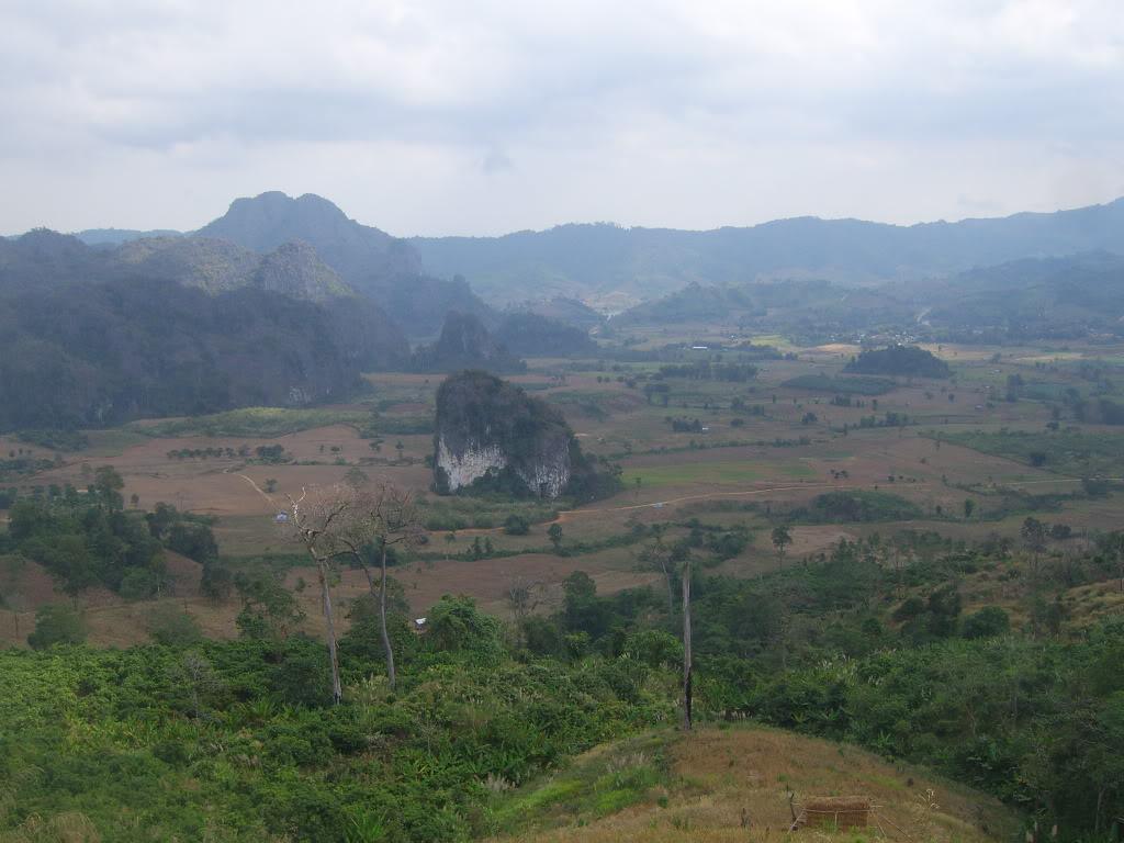 SV101614.jpg SV101614.jpg