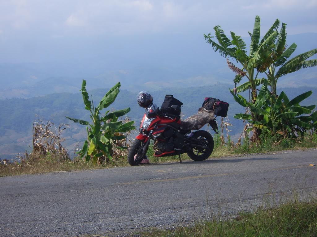 SV101629.jpg SV101629.jpg