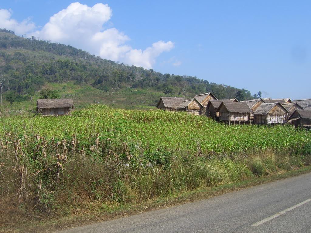 SV101762.jpg SV101762.jpg