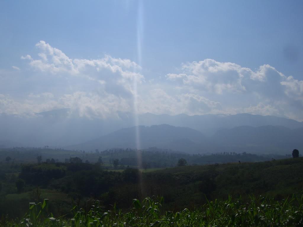 SV101765.jpg SV101765.jpg