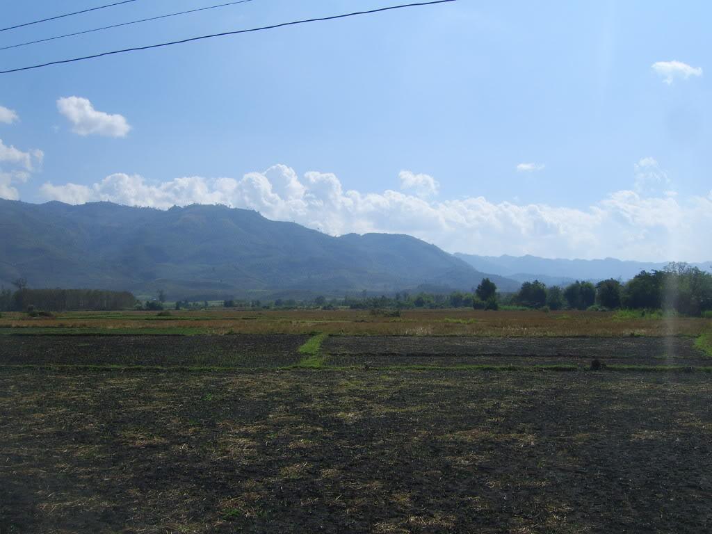 SV101779.jpg SV101779.jpg