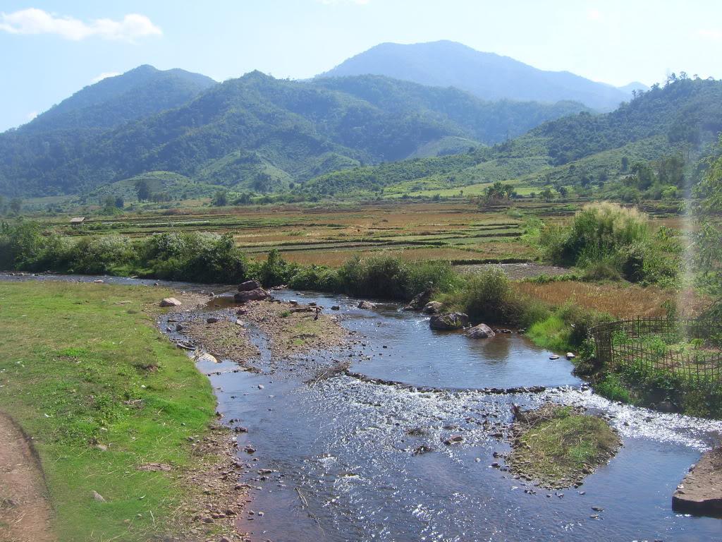 SV101786.jpg SV101786.jpg