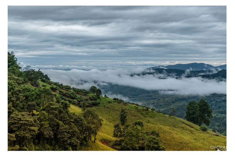 T2JC3386-Edit-Edit-L.jpg T2JC3386-Edit-Edit-L.jpg