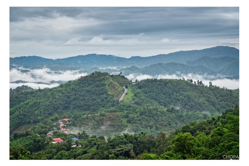 T2JC3903-Edit-Edit-L.jpg T2JC3903-Edit-Edit-L.jpg