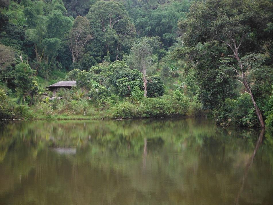 Tha Ton Thailand (8).JPG