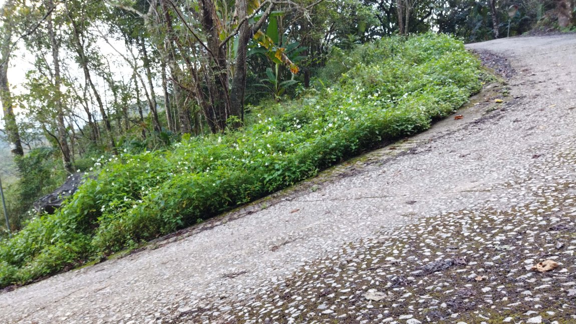 Typical Curve to the Parking Lot--The Camera is Exactly Level.jpg